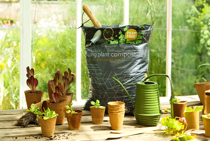 Young Plant Compost.png