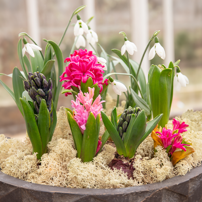 How to create a spring centrepiece