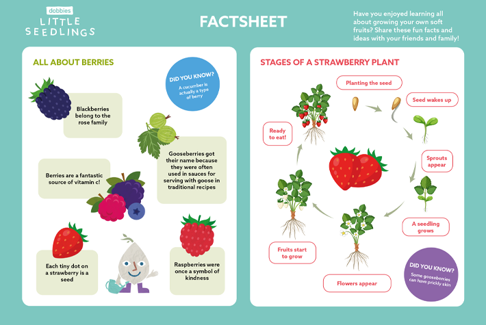 LS-March24-Factsheet