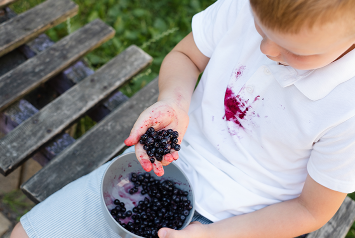 children-eating-blueberries