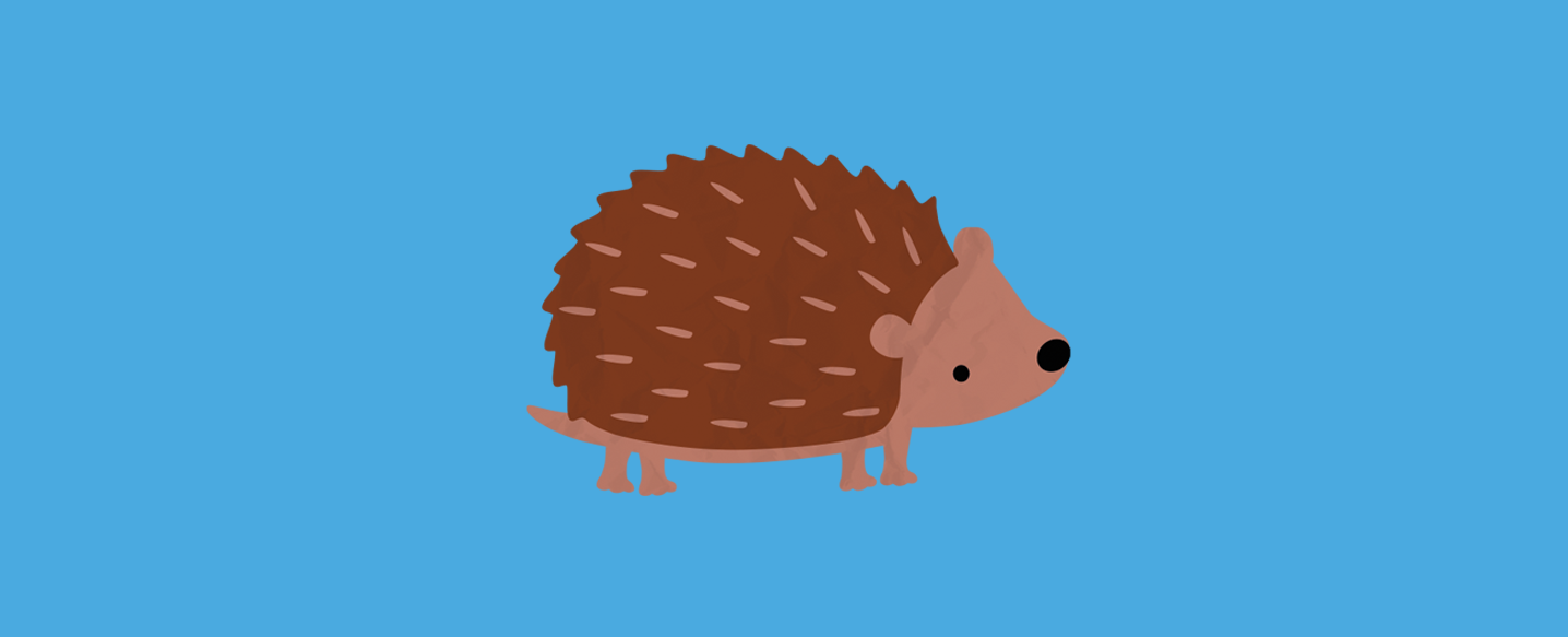 Wildlife friendly gardens