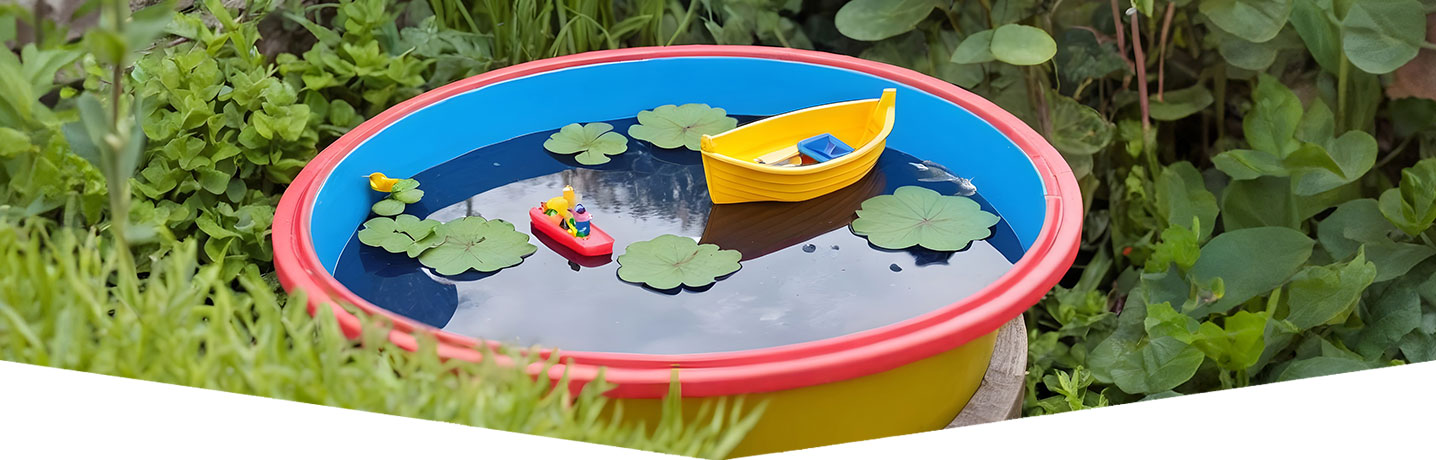 Create your own mini wildlife pond