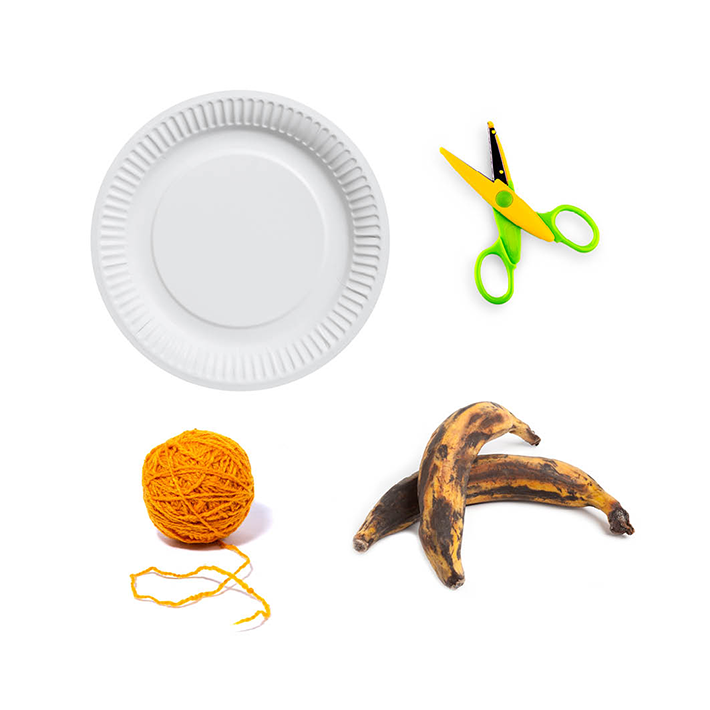 butterfly feeder materials