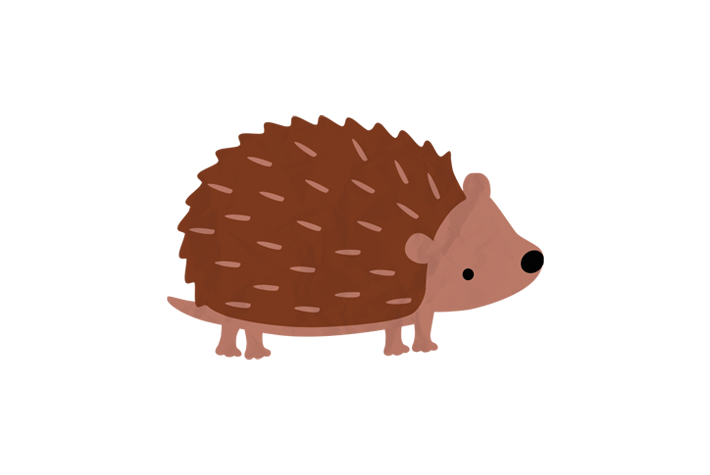 Wildlife friendly gardens