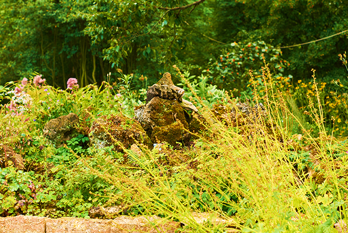 Flower garden with fresh plants stones