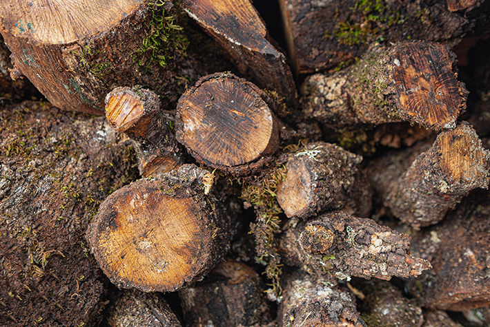 Log piles