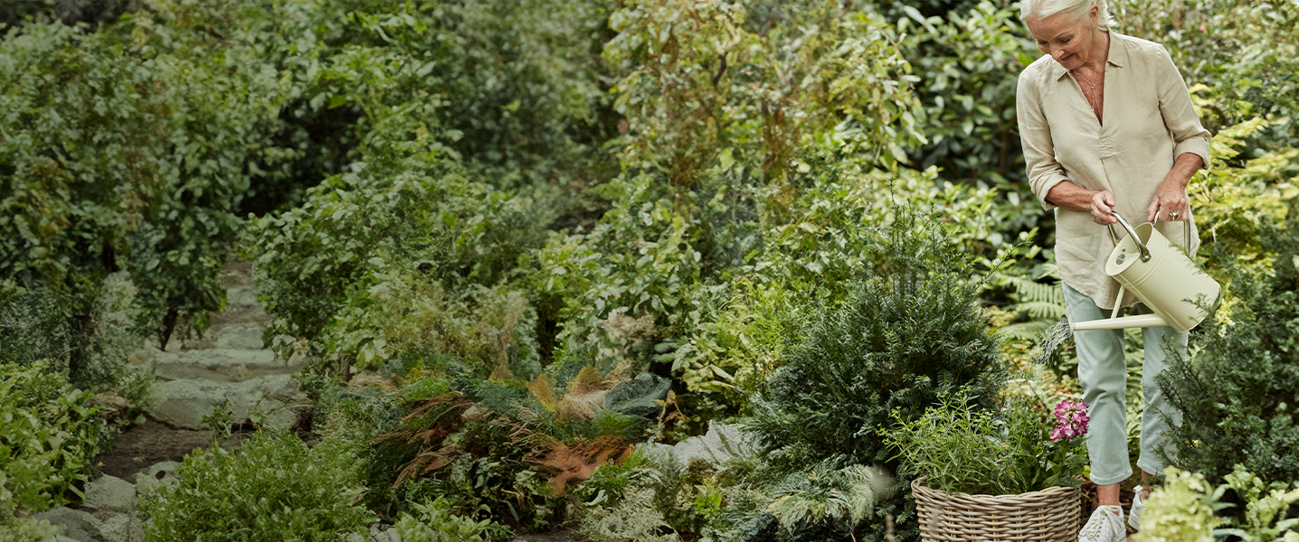 Dobbies Garden Centres Dobbies Garden Centres