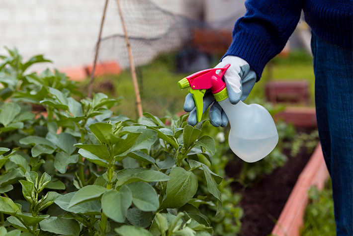 Avoid scary chemicals