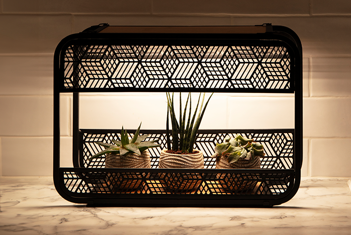 Dad Foodie Entusiast