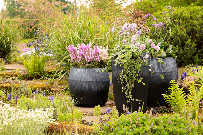 Gardening tips for July