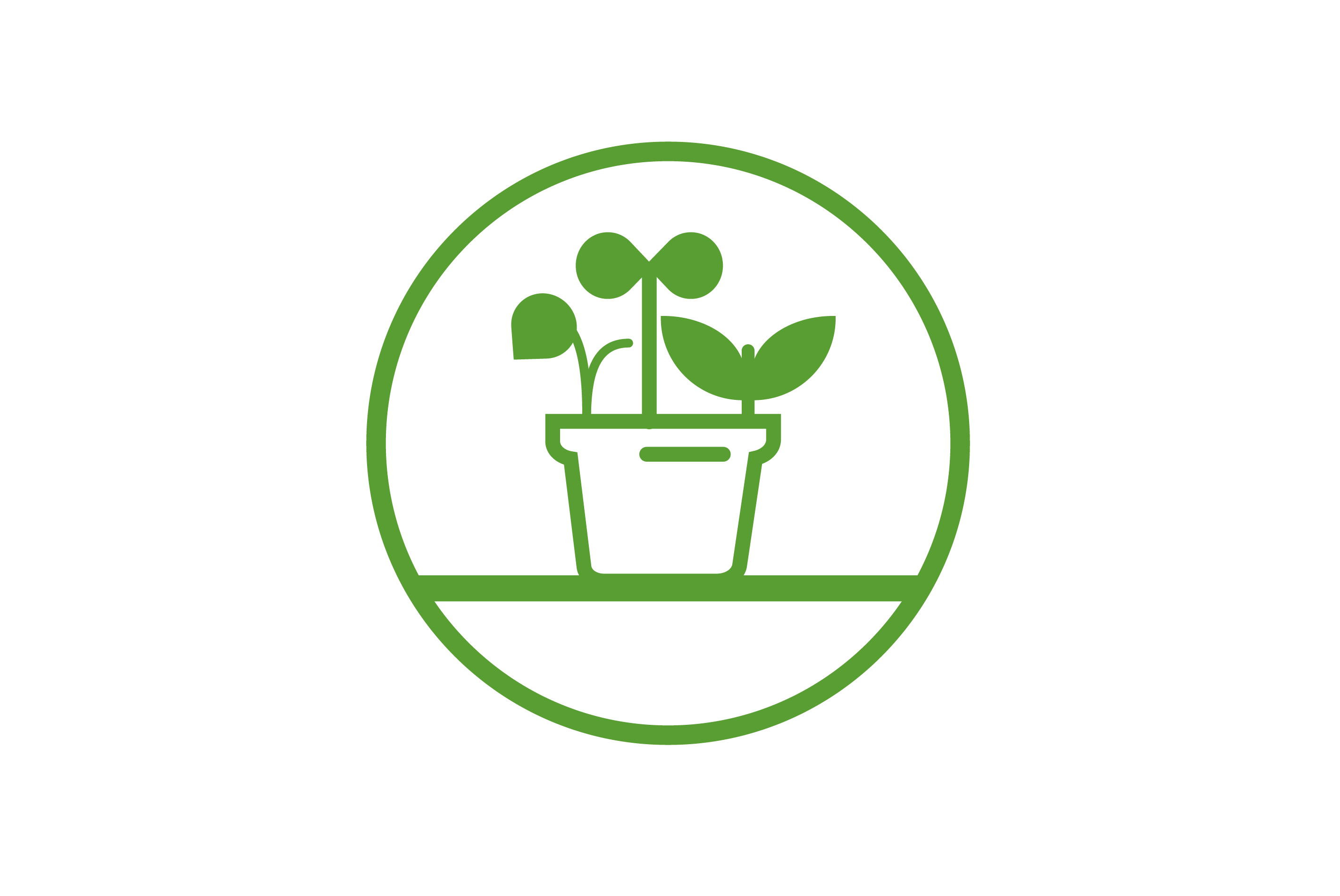 Free planting service