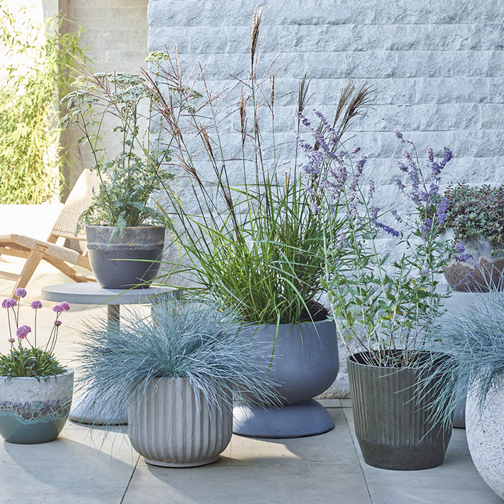 Pots & planters