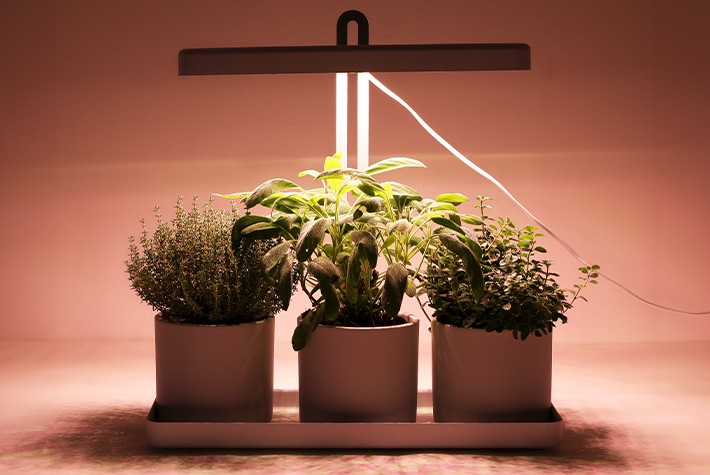 How to use grow lights