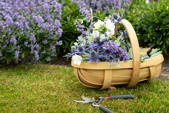 Fresh Cut Flowers Basket