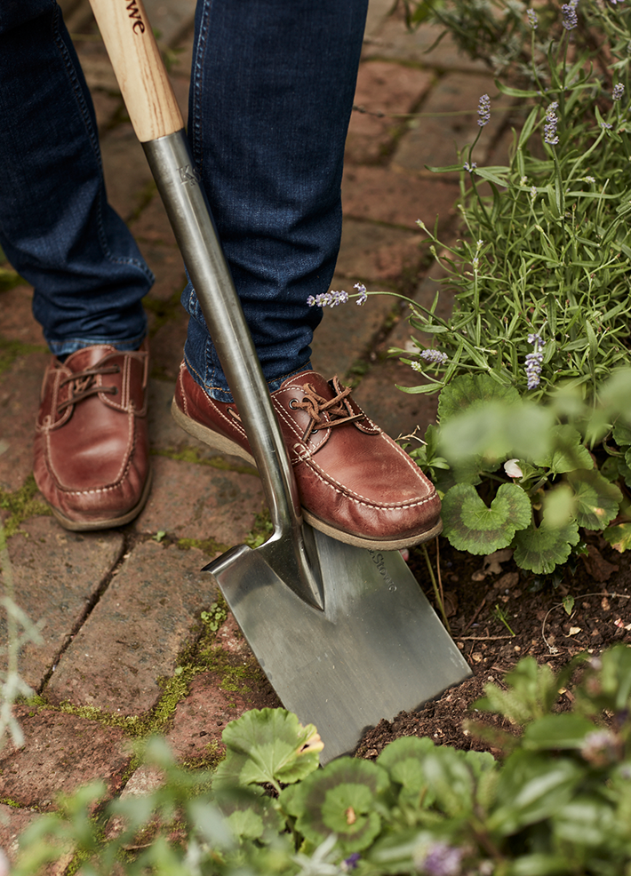 How to plant a cut flower patch