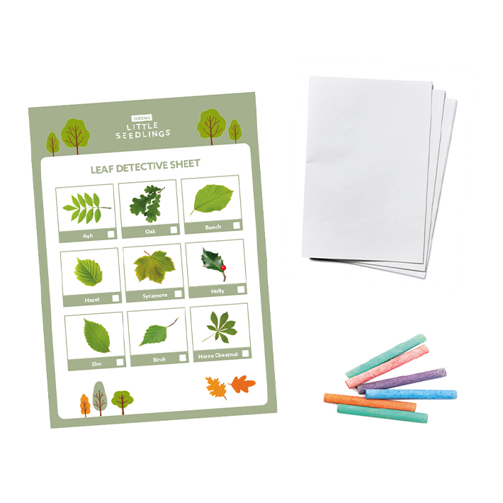 Become a Leaf Detective