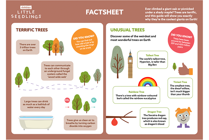 Factsheet