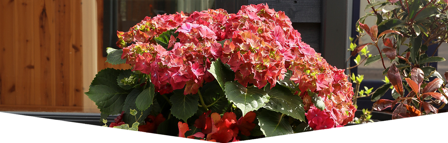 Trillers fillers and spillers