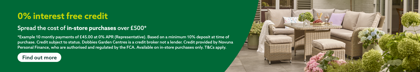 0 % Interest Free Credit