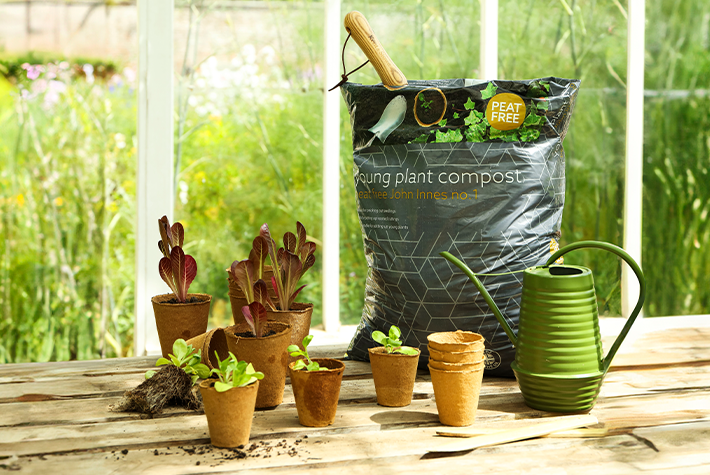 Young Plants Compost