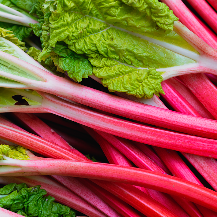 Rhubarb