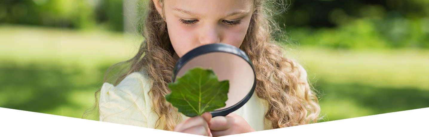 Become a Leaf Detective