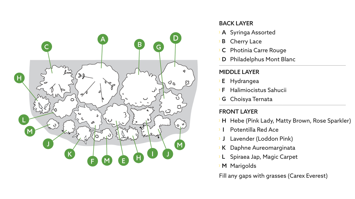 map-msc-active-image-MDfmia