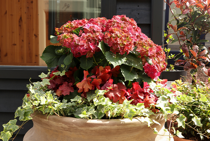 Trillers, fillers & spillers