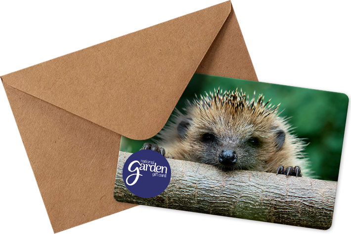 Hedgehog-National Garden-Gift Card