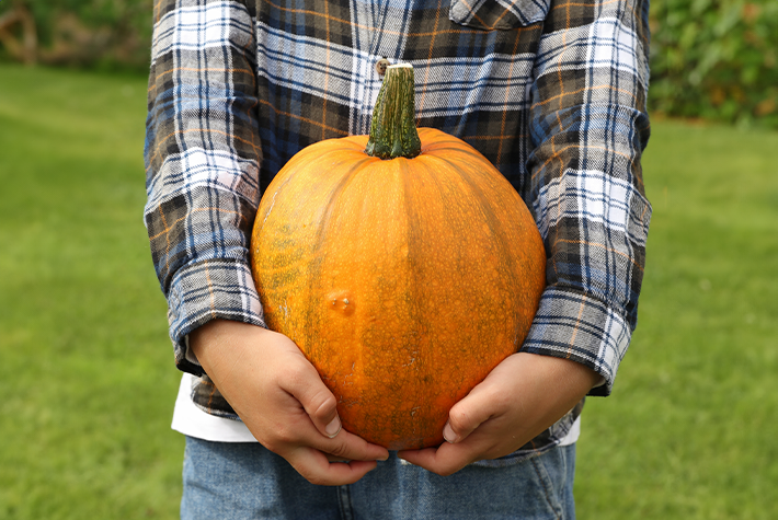 Gardening activities for kids