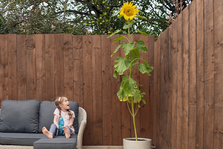 Gardening activities for kids