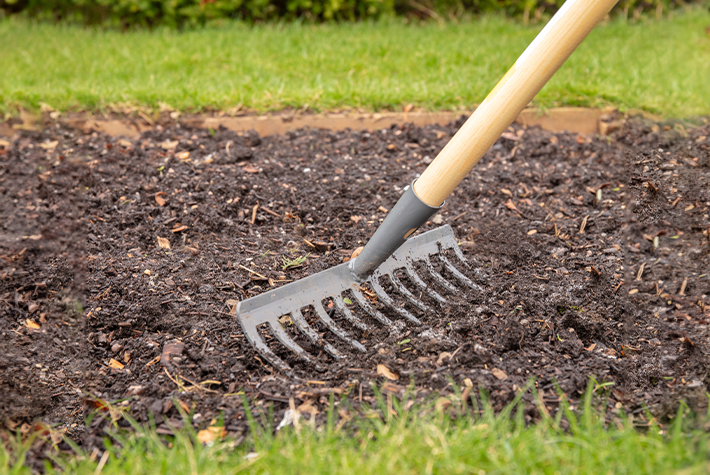 How to sow vegetable seeds outdoors