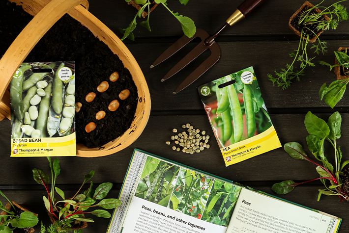 How to sow vegetable seeds outdoors