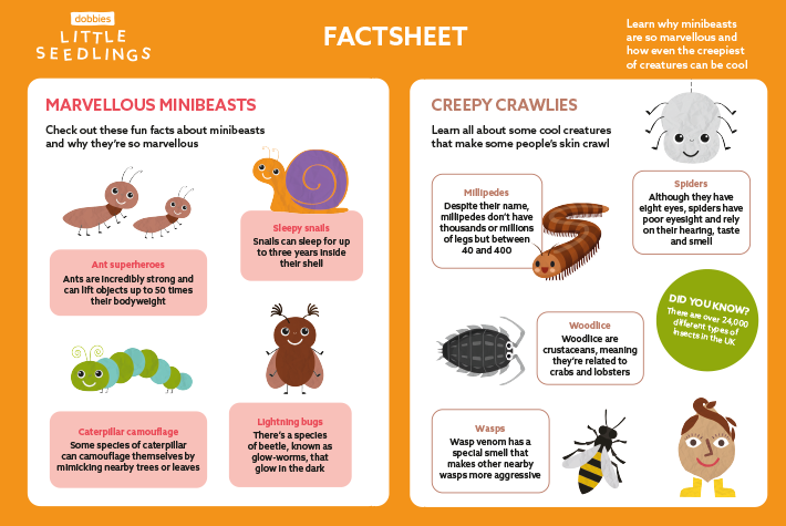July 2024 Little Seedlings Fact Sheet