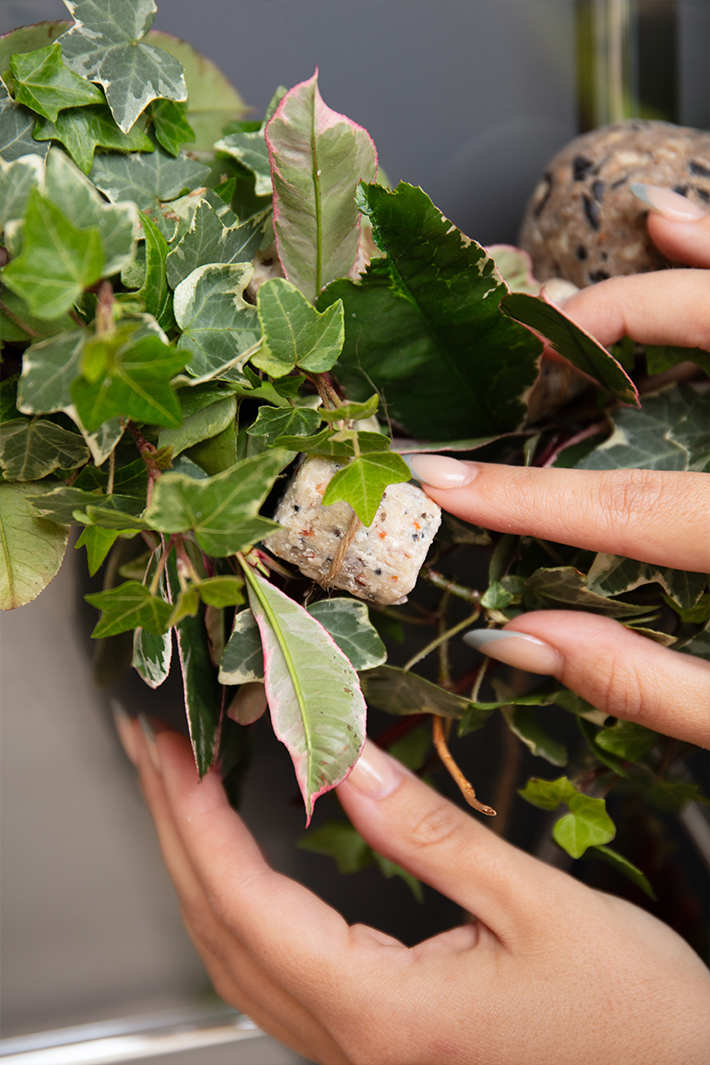 How to create a bird feeder wreath