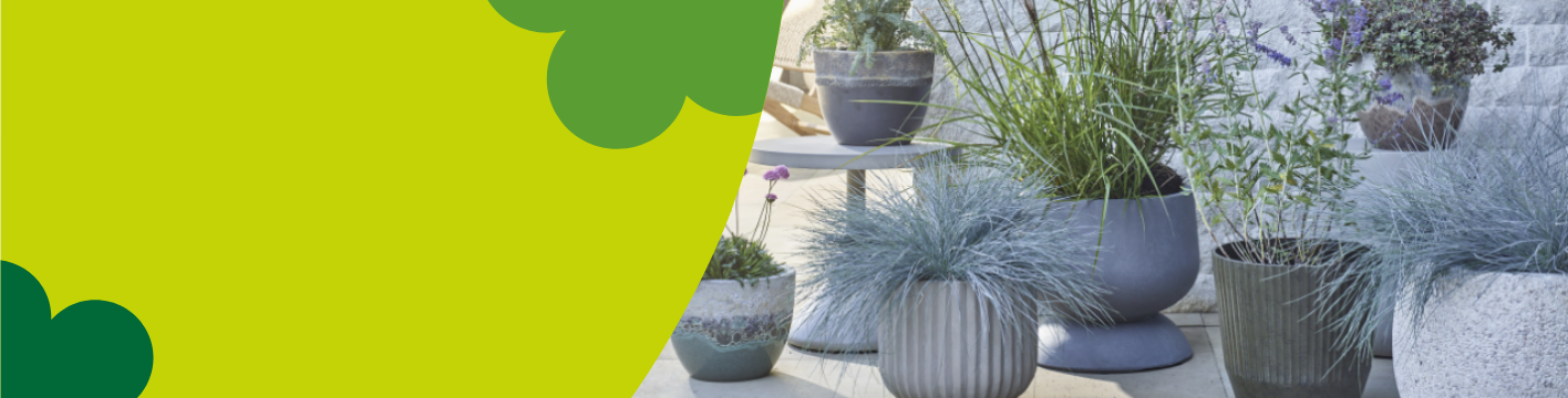 Outdoor plant pots & planters