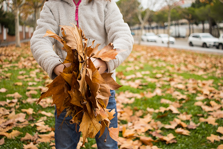 Autumn leaf lanterns