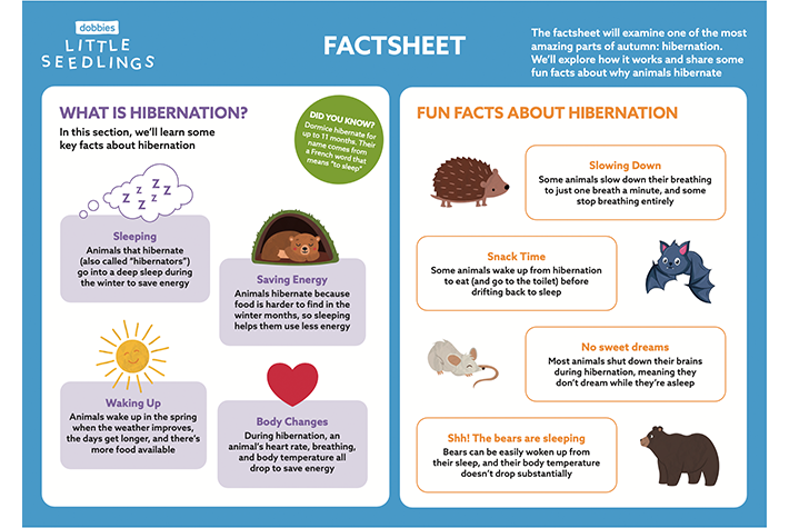 Factsheet
