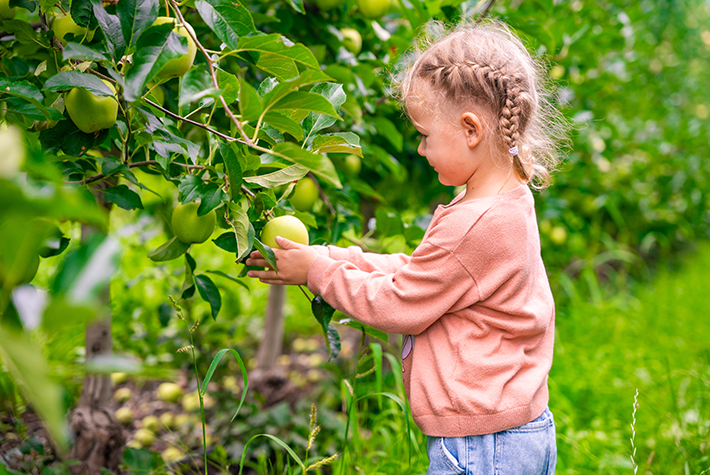 Autumn garden activities