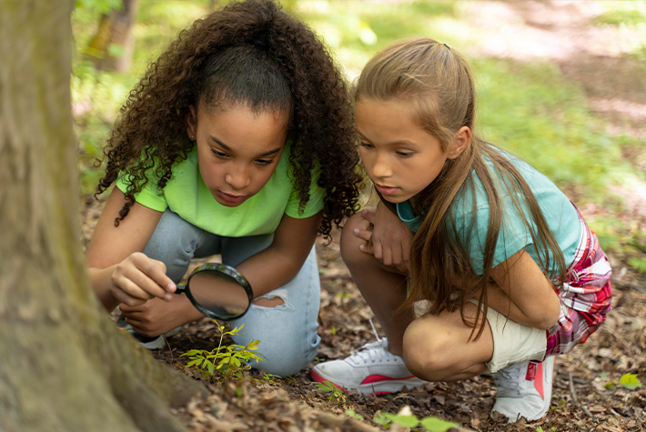 Autumn scavenger hunt