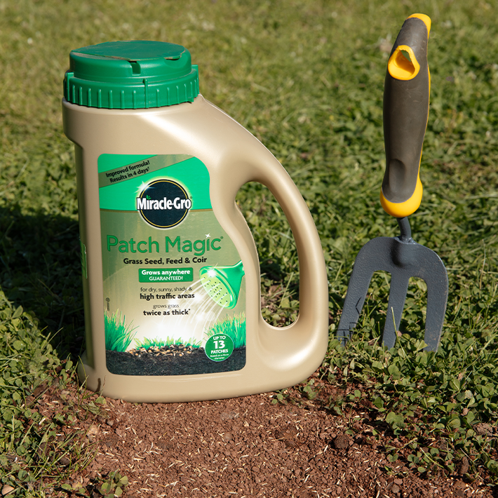 Gardening tips for September