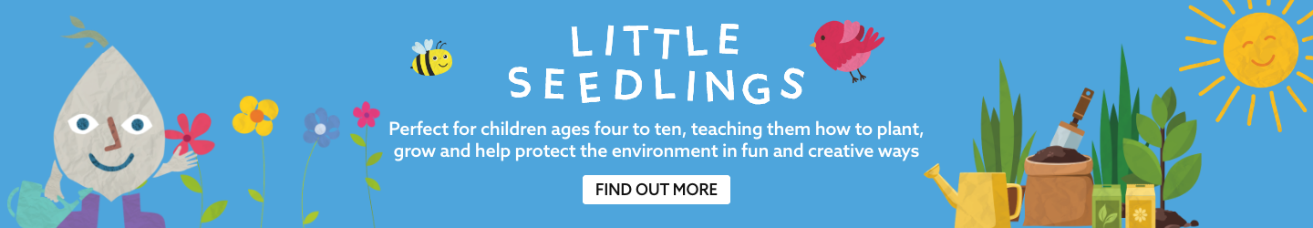 LittLittle Seedlings