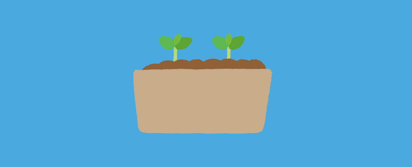 Little Seedlings Planting & Growing