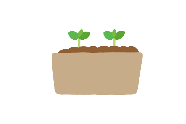 Little Seedlings Planting & Growing