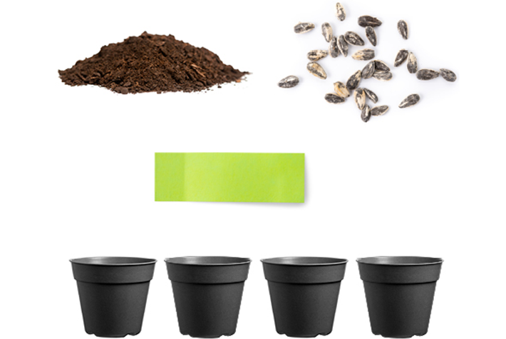 seed growing Investigation materials