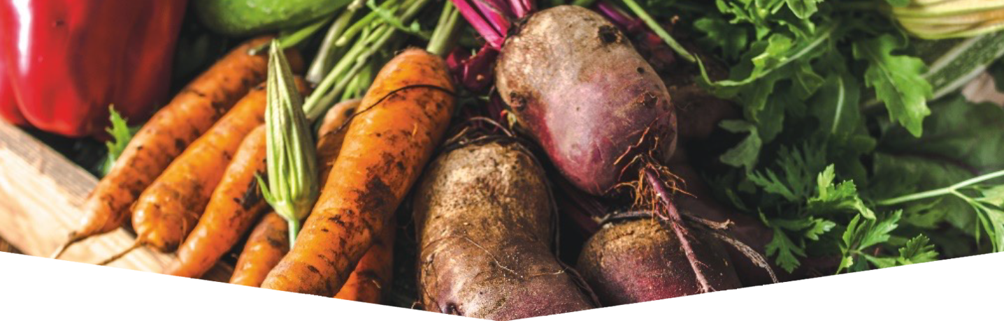 How to grow your own Christmas dinner