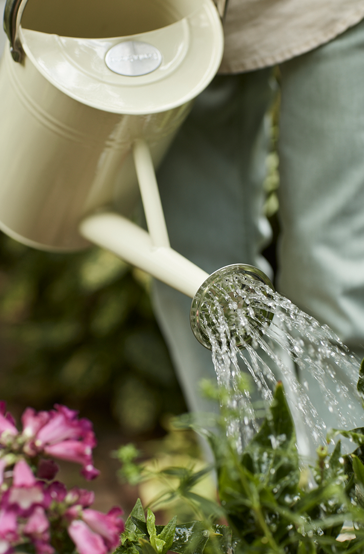 Why harvest rainwater?
