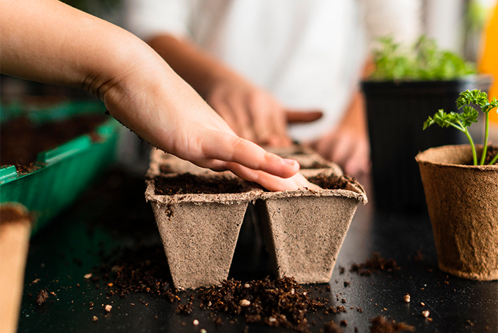 children planting crops