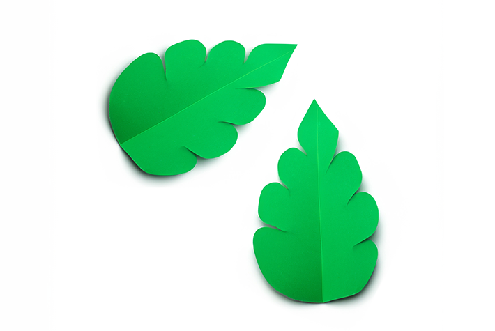 papper leafs
