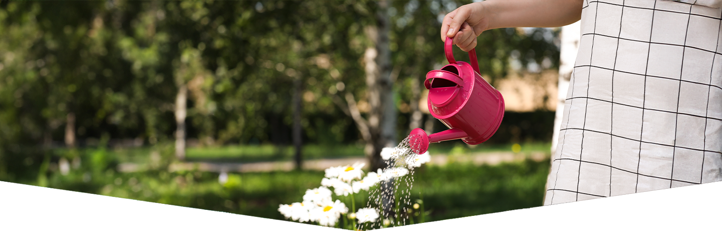 What do plants need to grow?